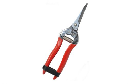 Stainless Garden Secateurs