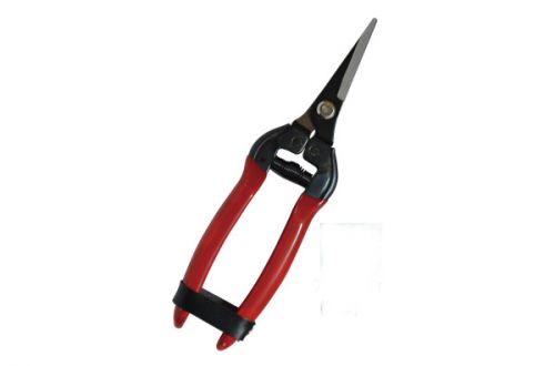 Hand Pruning Shears, Small Pruning Shears